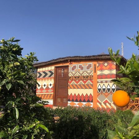 Afrikan Krisant Tenerife, Casa Rural Ecologica Arafo Екстериор снимка