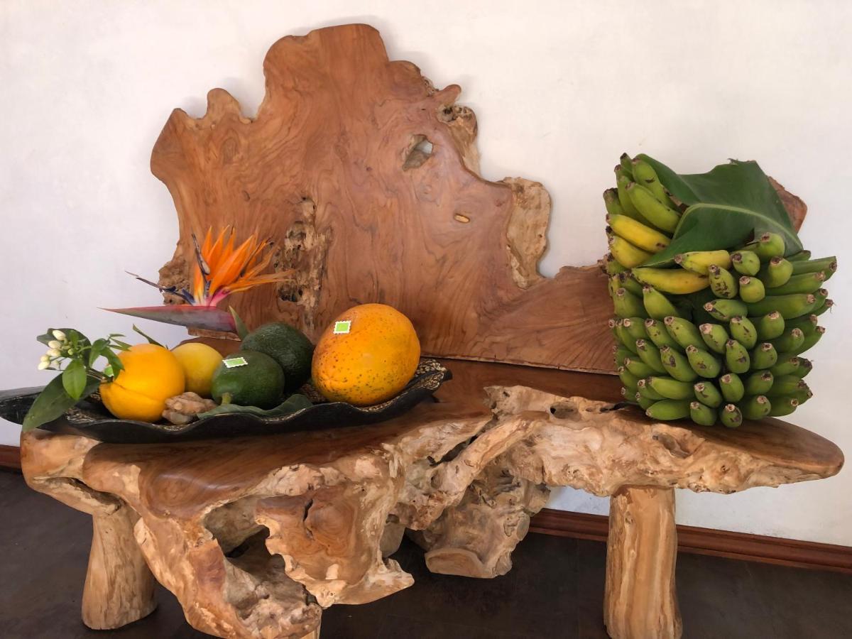 Afrikan Krisant Tenerife, Casa Rural Ecologica Arafo Екстериор снимка