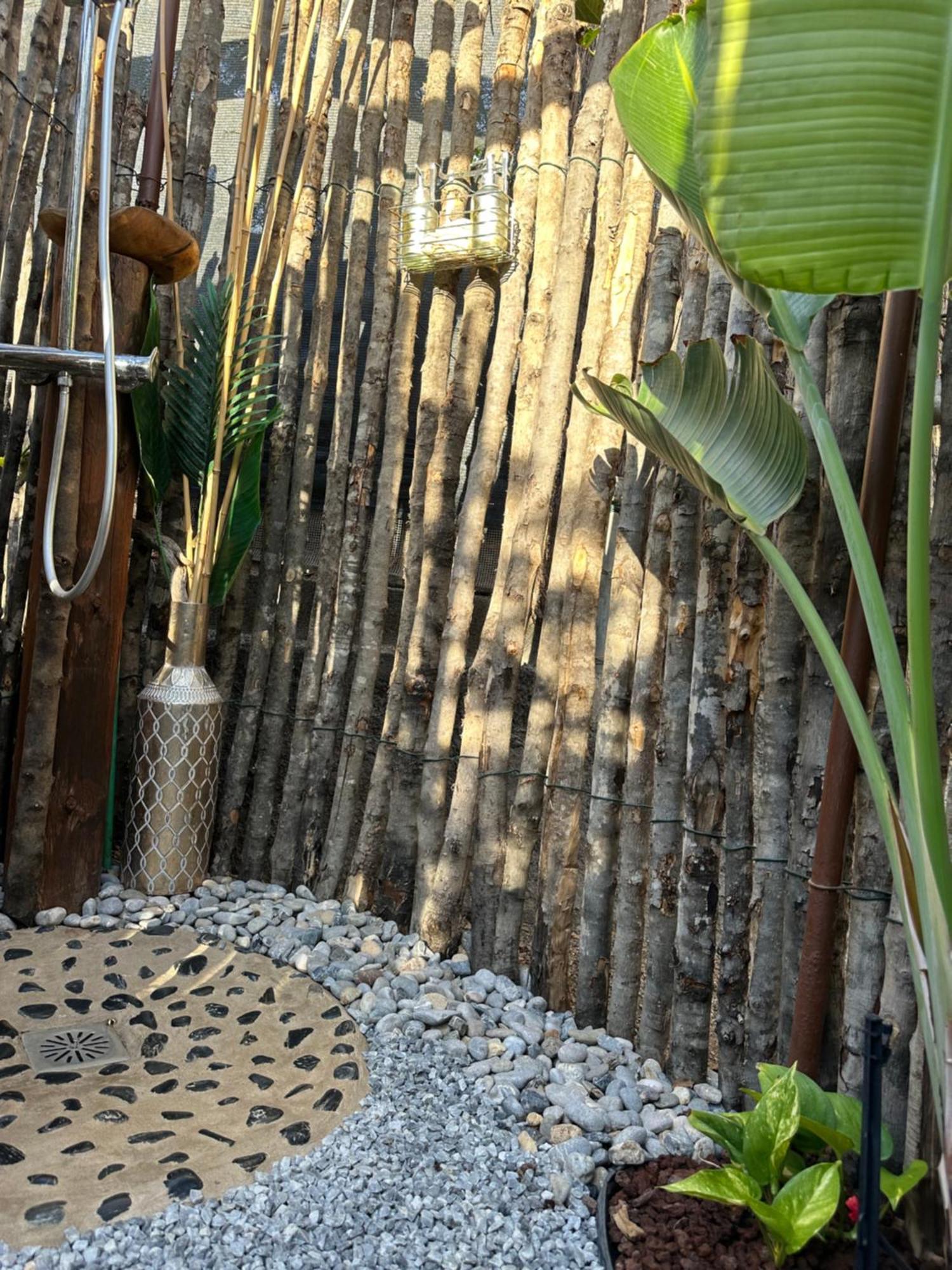 Afrikan Krisant Tenerife, Casa Rural Ecologica Arafo Екстериор снимка