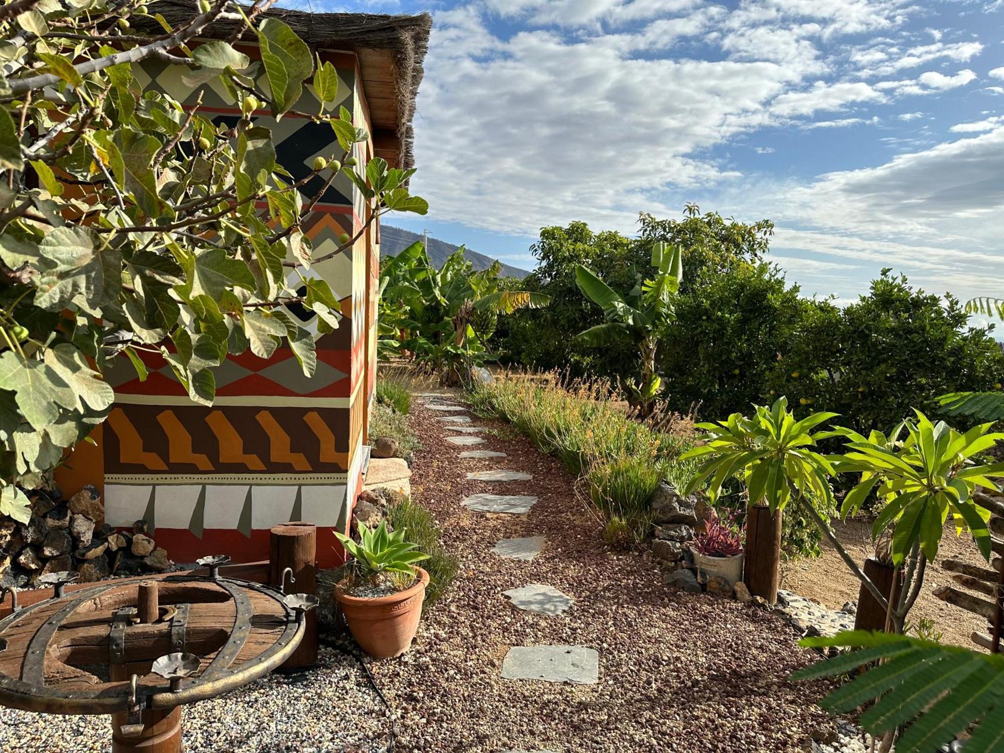 Afrikan Krisant Tenerife, Casa Rural Ecologica Arafo Екстериор снимка