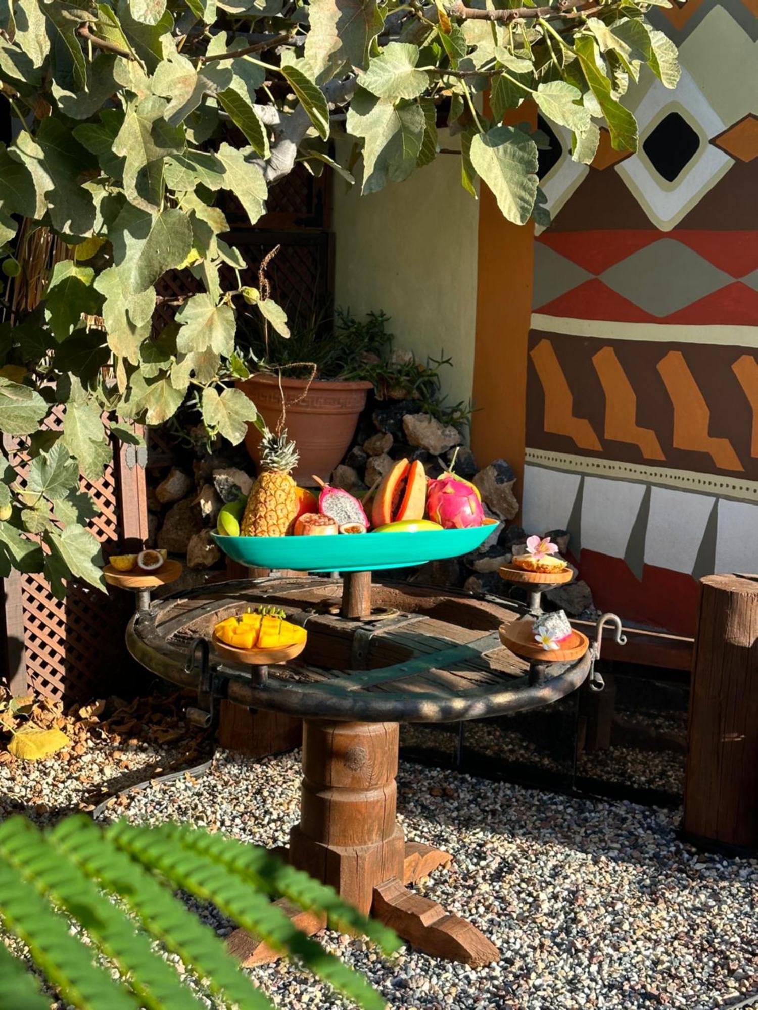Afrikan Krisant Tenerife, Casa Rural Ecologica Arafo Екстериор снимка